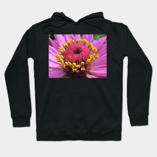 Pink Flower with Yellow Stamens Hoodie